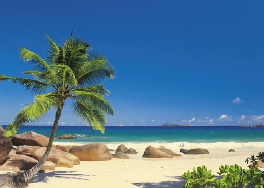 Wall Poster: "Seychellen" Beach with Palm Tree