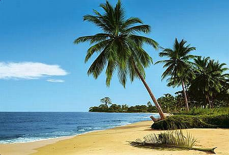 Wall Poster: "African Beach" Shoreline with Sand & Palm Trees